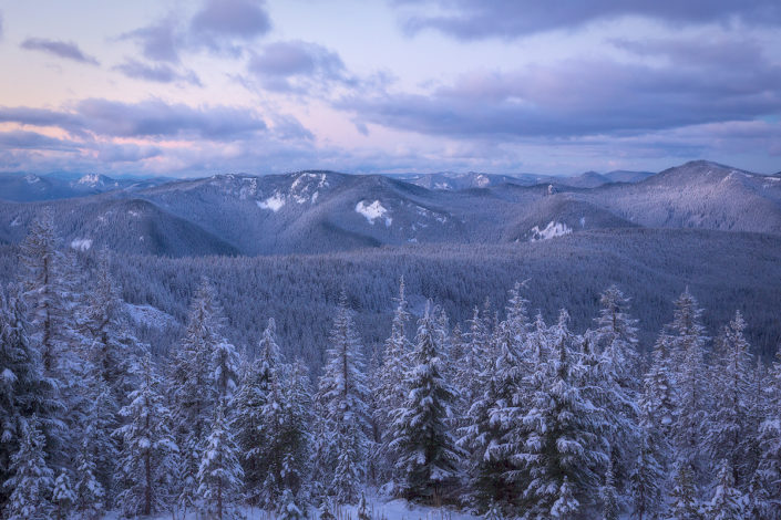 Mt. Hood; Mount Hood; TDH; Tom DIck Harry; Snow; Snowy Trees; Ice; Mountain; Winter; Powder; Cold; Rami J Photography; Rami Jabaji