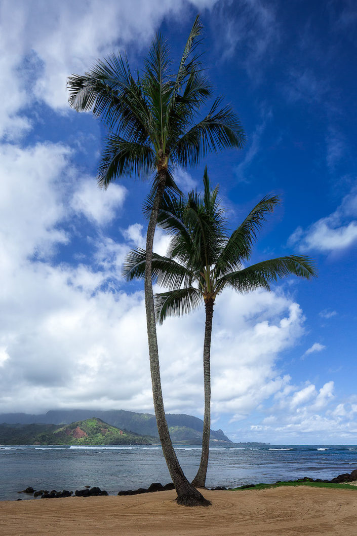Na’ Pali Coast; Napali Coast; Na’ Pali; Napali; Palm Tree; Hanalei Bay; Hanalei; Princeville; Kauai; Hawaii; Rami J Photography; Rami Jabaji