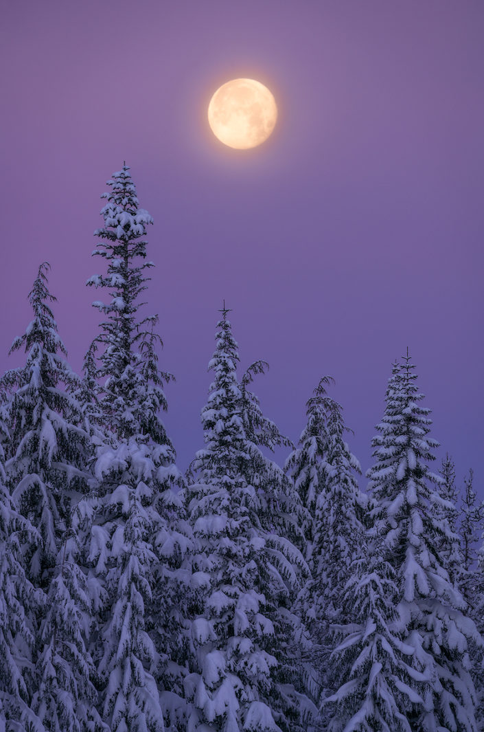 Mt. Hood; Mount Hood; Snow Covered Trees; Moon; Moon set; Frozen; Lake; Snow; Snowy Trees; Ice; Mountain; Winter; Cold; Rami J Photography; Rami Jabaji