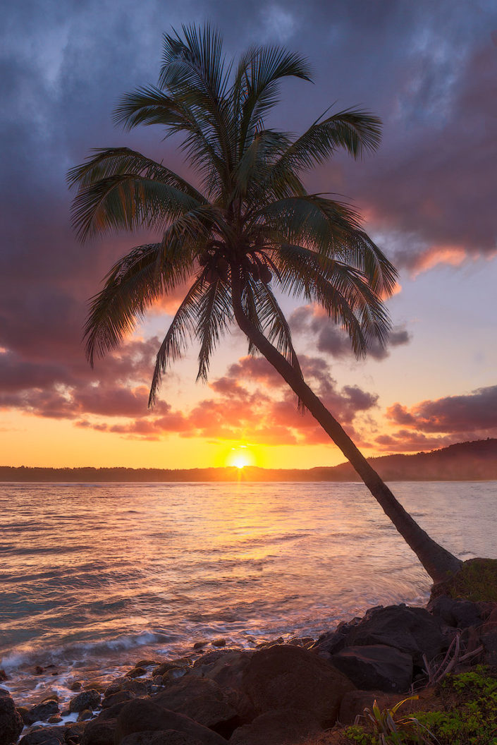 Palm Tree; Hanalei Bay; Hanalei Pier; Kauai; Hawaii; Hanalei; Sunrise; Na’ Pali Coast; Napali Coast; Na’ Pali; Napali; Beach; Ocean; Coast; Sea; Rami J Photography; Rami Jabaji