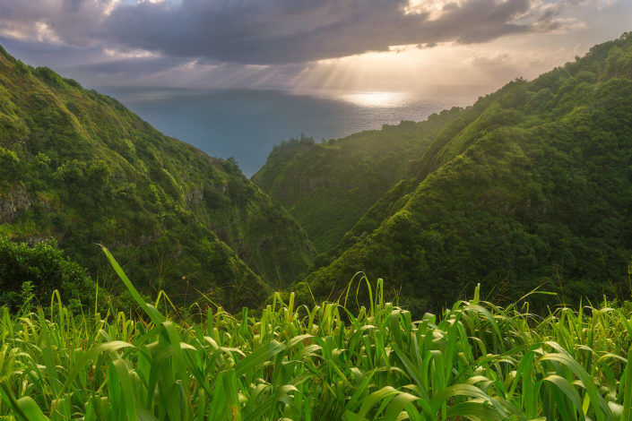 Maui; Hawaii; Canyon; Green; Sugar; Sunrise; Sun Rays; Rami J Photography; Rami Jabaji