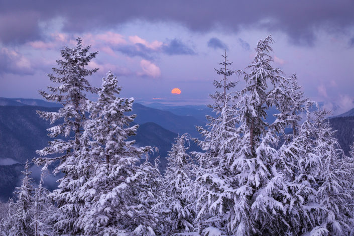 Mt. Hood; Mount Hood; TDH; Tom DIck Harry; Snow; Snowy Trees; Moon; Moon Set; Ice; Mountain; Winter; Powder; Cold; Rami J Photography; Rami Jabaji