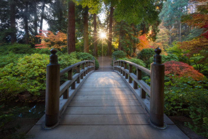 Portland Japanese Garden; japanese garden; japanese maple; moonbridge; bridge;leaves; fall; sunshine; sunrays; sunstar; beams; Rami J Photography; Rami Jabaji