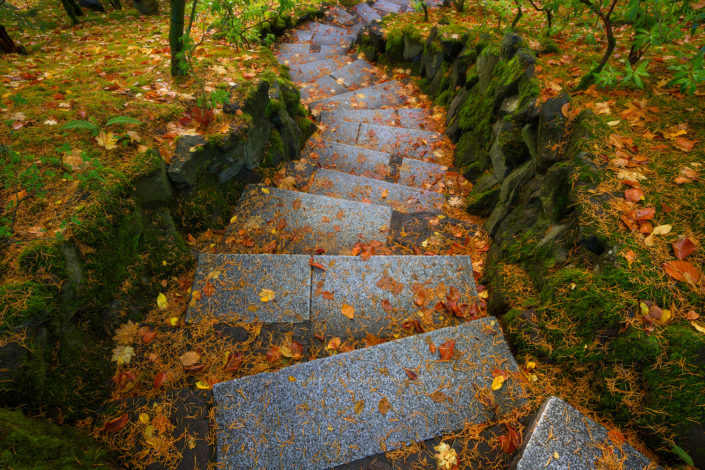 Portland Japanese Garden; japanese garden; leaves; fall; Stairs; Garden ;Rami J Photography; Rami Jabaji