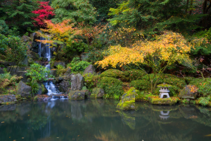 Portland Japanese Garden; japanese garden; japanese maple; leaves; fall; Foggy; Fog; waterfall; water; pond; Rami J Photography; Rami Jabaji