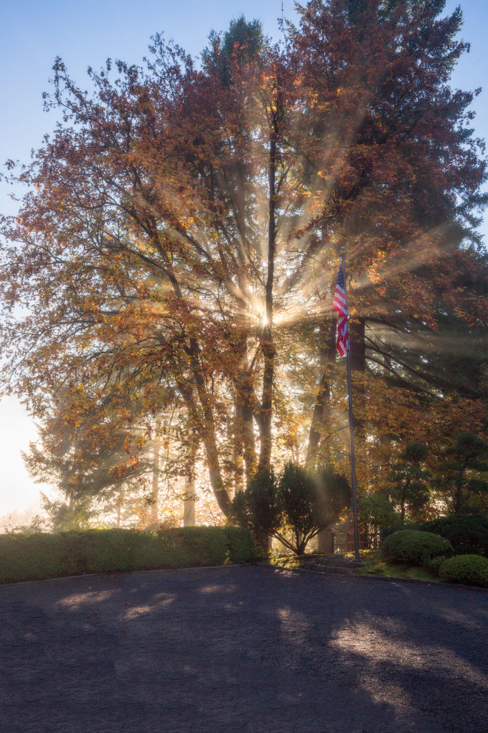 Portland Japanese Garden; japanese garden; japanese maple; leaves; fall; Foggy; Fog; Sunshie; Sunrays; Sunbeam;Rami J Photography; Rami Jabaji